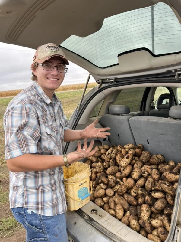 Person holding bucket of freshly harvested potatoes beside vehicle