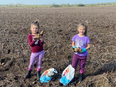 Children standing in harvested field holding potatoes
