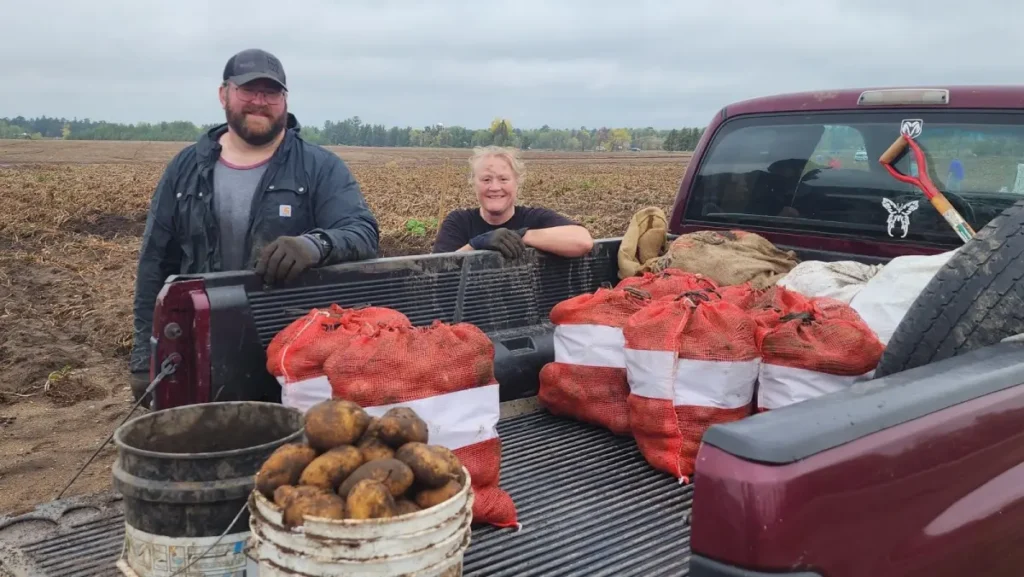 People posing beside bags of harvested potatoes outdoors
