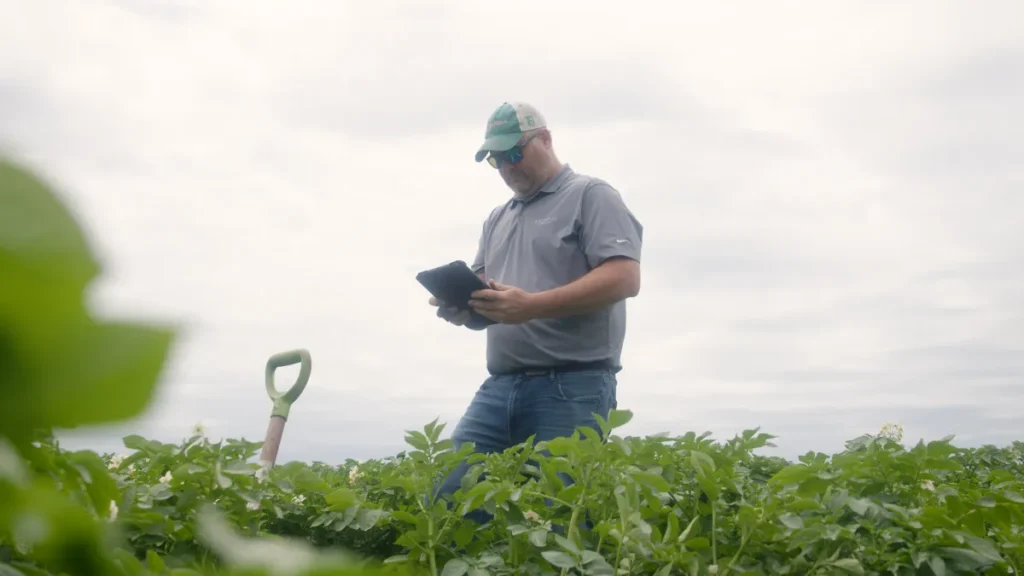 Farmer checking crops with tablet in field