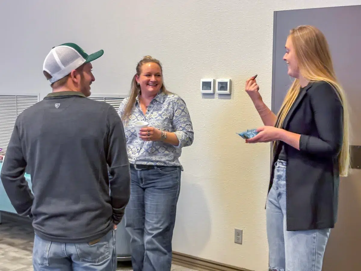 People networking during meeting