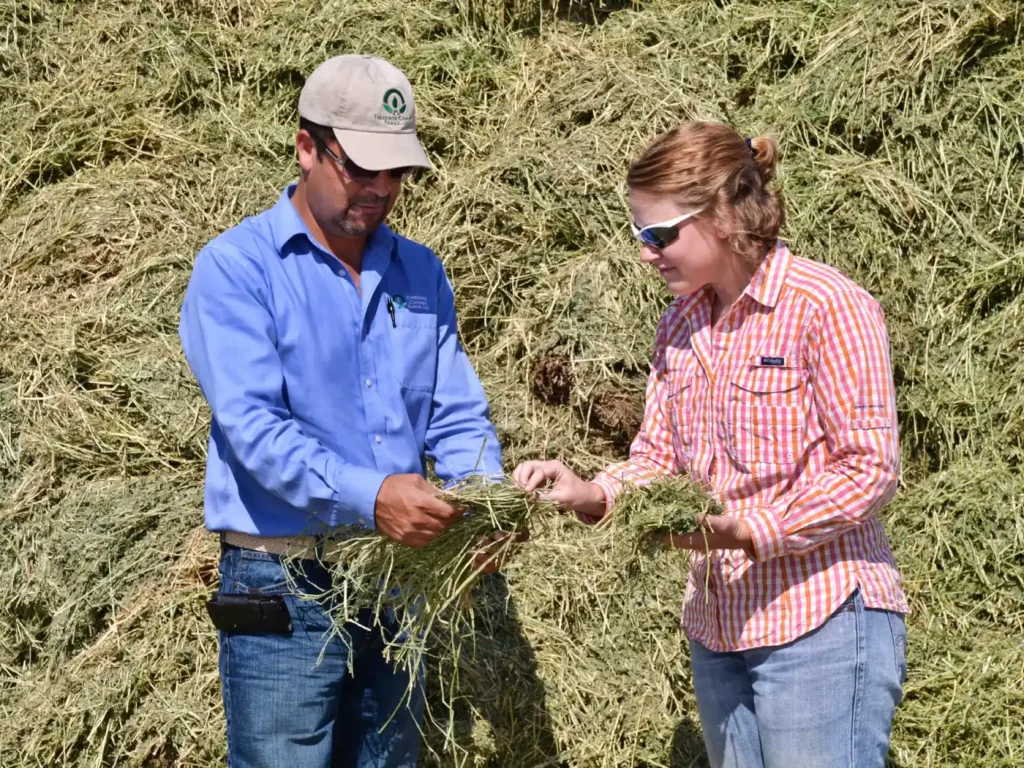 Two people examining harvested crops outdoors