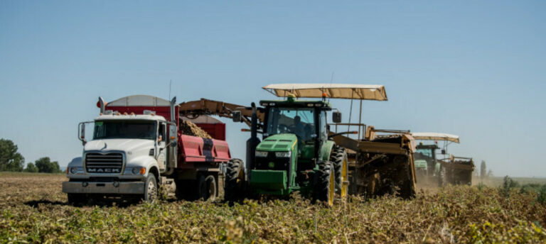 Threemile’s Dairy and Farm Teams Keep Their Focus on Technology, Sustainability, and Growth for 2025