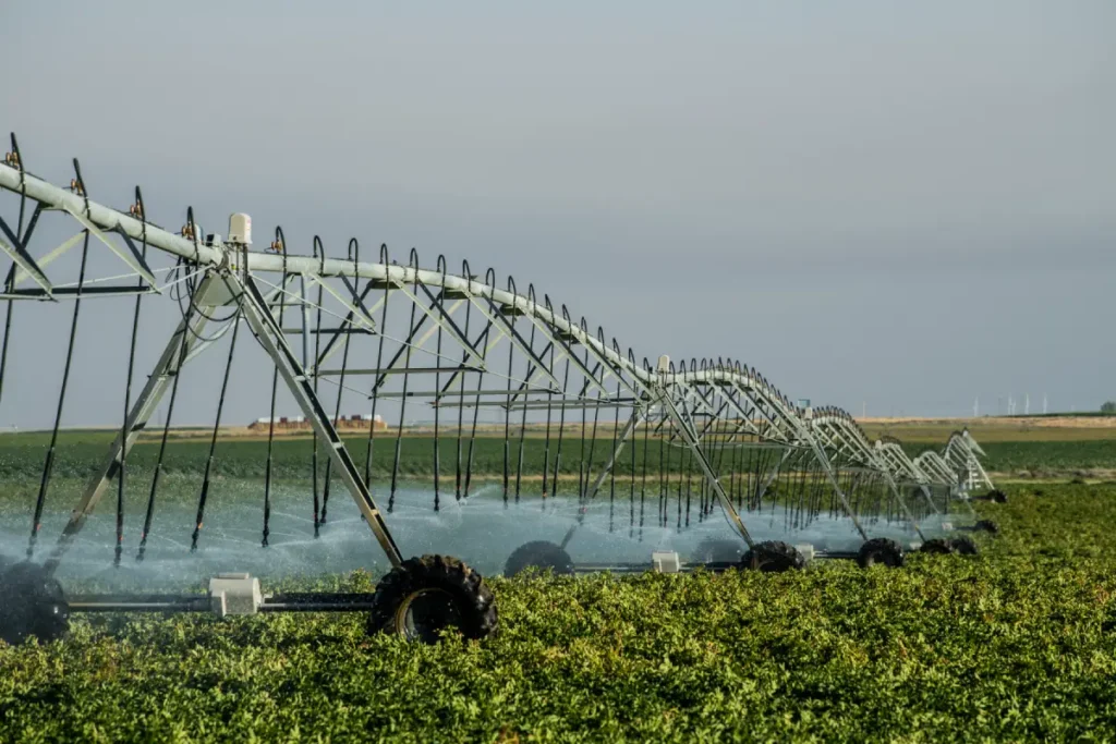 Irrigation system watering green field