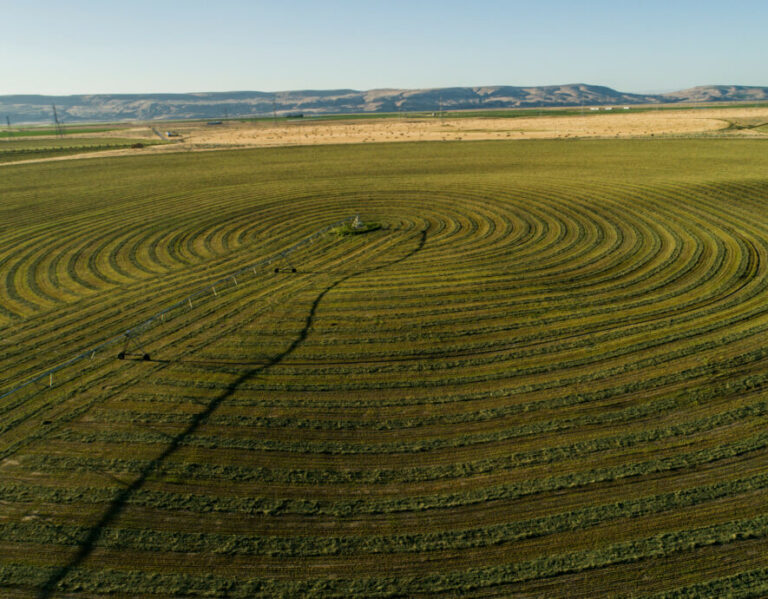 Aerial view of circular irrigated farmland with distant hills