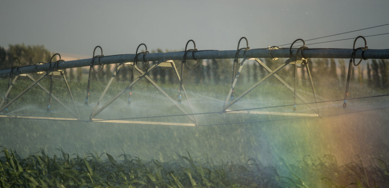 Irrigation equipment watering crops in field