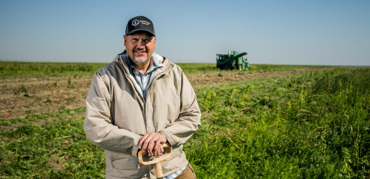 Farmer standing in crop field wearing cap and jacket