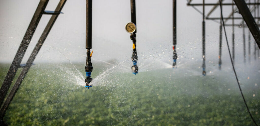 Irrigation sprinklers spraying water over crops