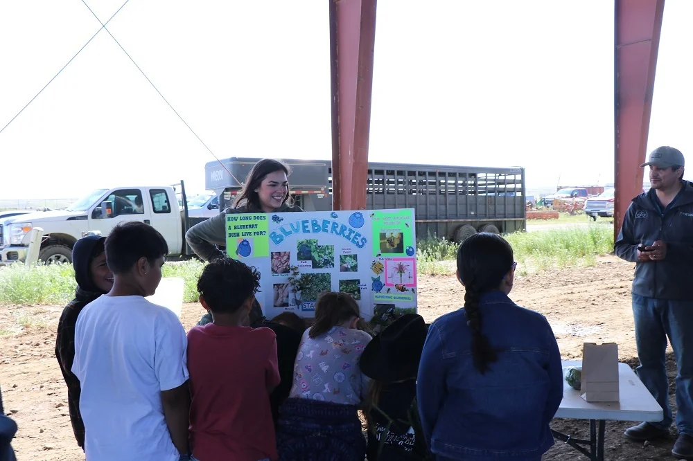 Children viewing educational display outdoors
