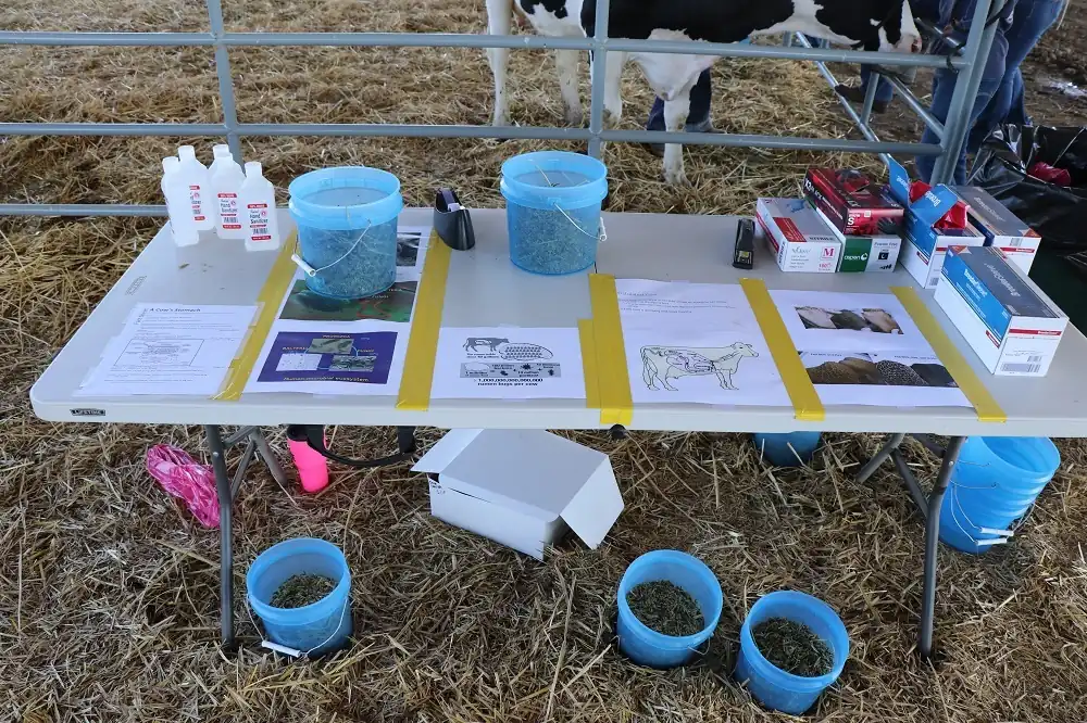 Educational materials arranged on table outdoors