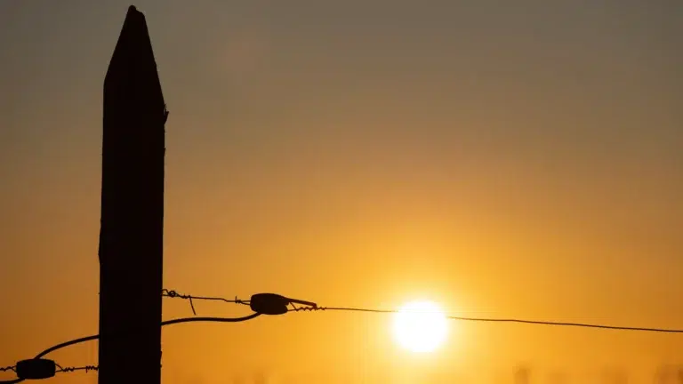 Closeup of fence at sunset.