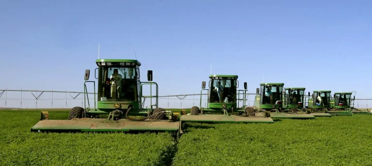 Farm equipment parked beside cultivated field