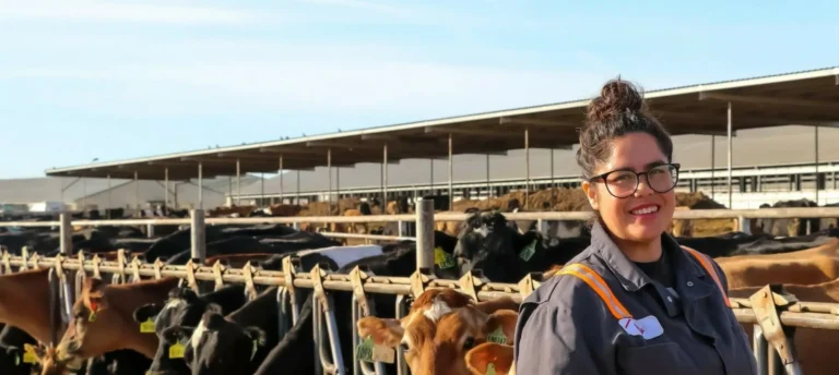 Cattle inside covered livestock facility with worker smiling