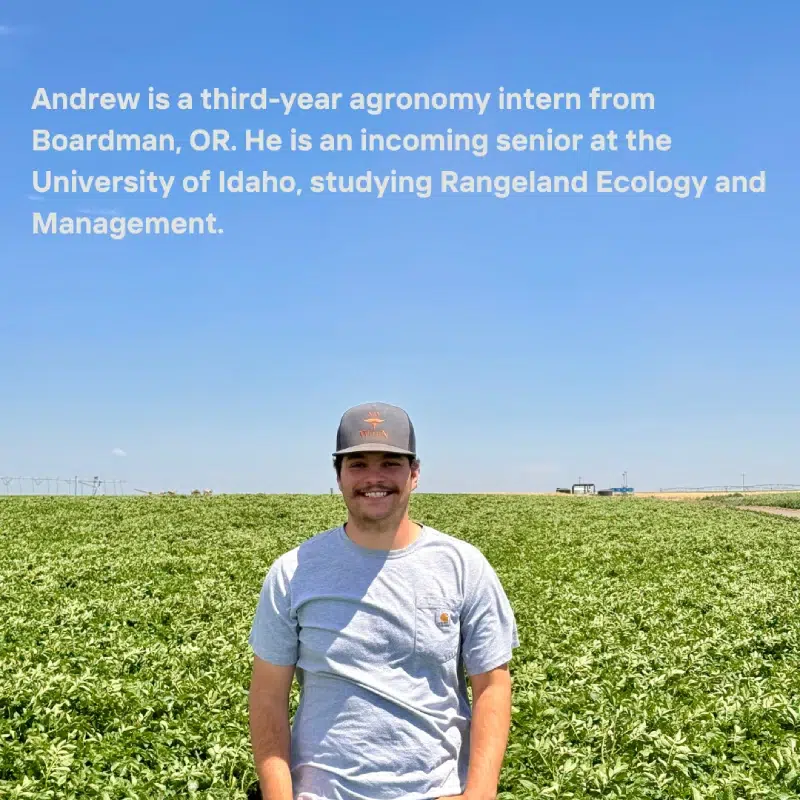 Andrew standing in a green field under a clear blue sky. Transcribed Text: Andrew is a third-year agronomy intern from Boardman, OR. He is an incoming senior at the University of Idaho, studying Rangeland Ecology and Manageme