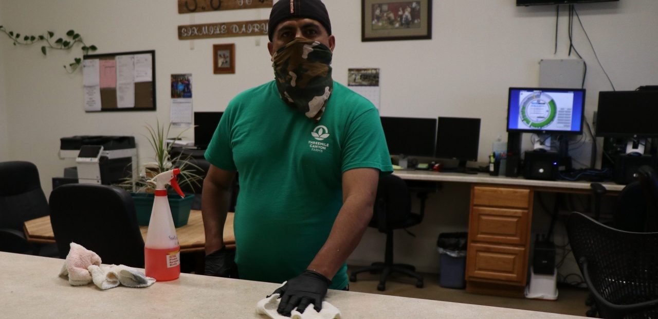 Worker sanitizing countertops