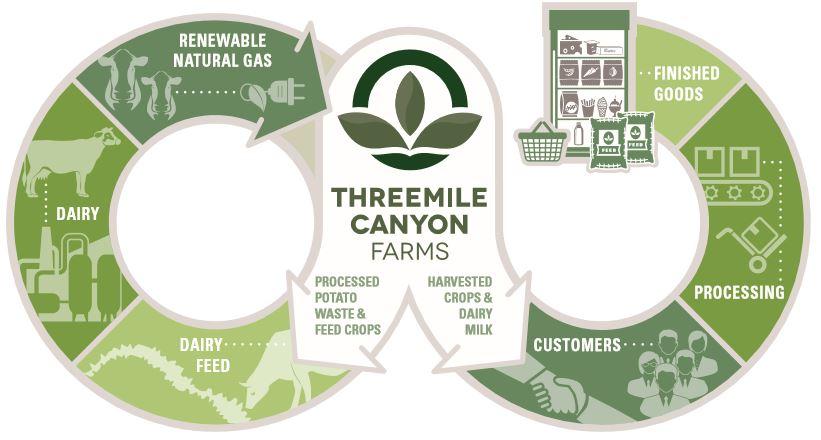 Infographic showing Threemile Canyon Farms' circular process with sections for dairy, feed, renewable gas, processing, and customers.