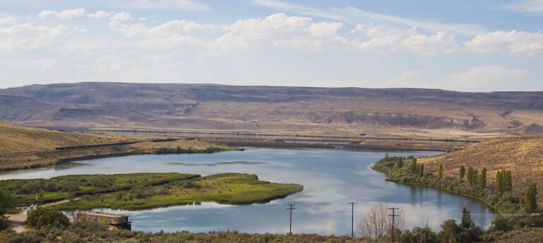 Wetland landscape from elevated view
