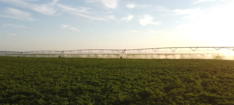 Irrigation system spraying water across field