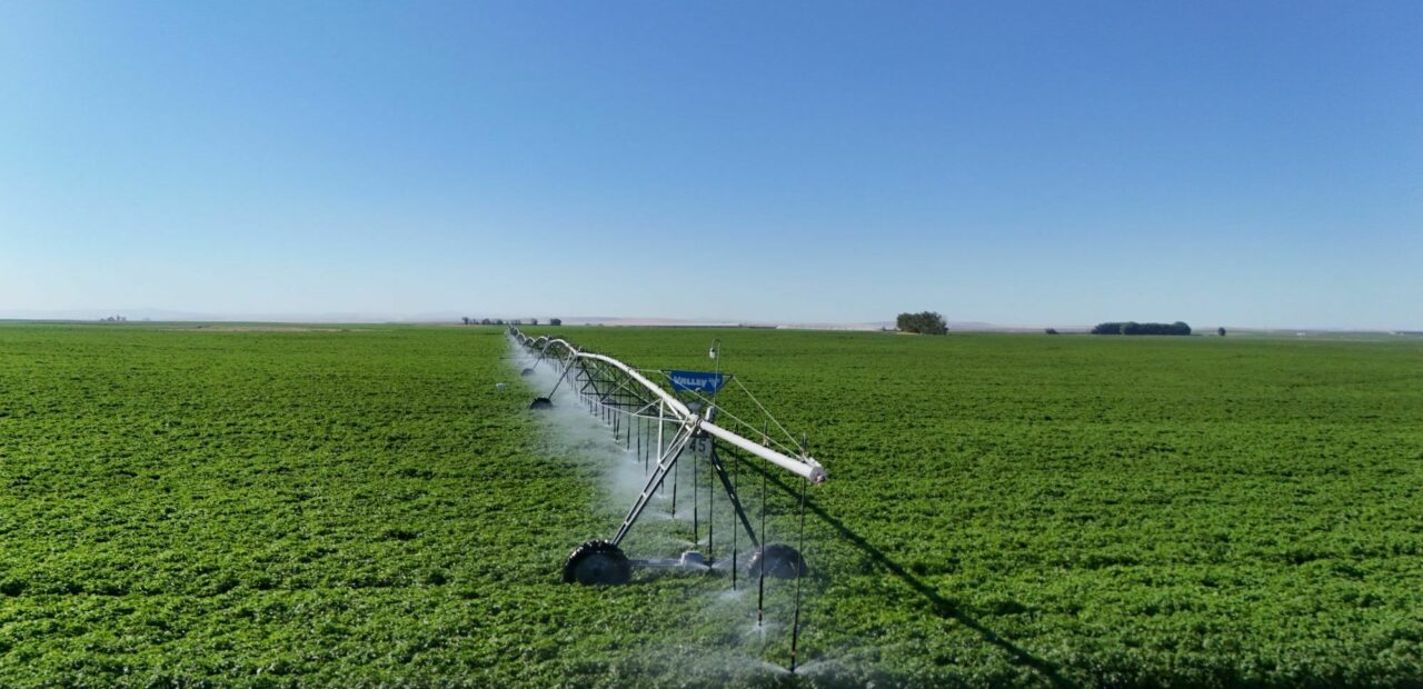 Irrigation system watering green field
