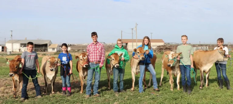 Group posing together outdoors in field with heifers