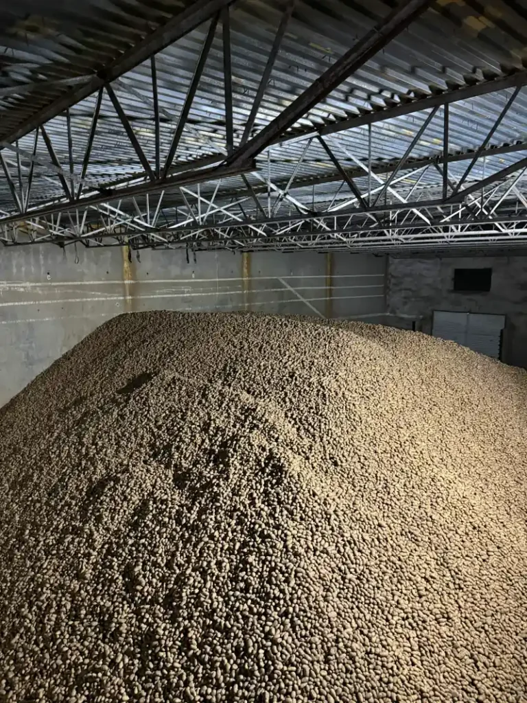 Large pile of agricultural material inside warehouse
