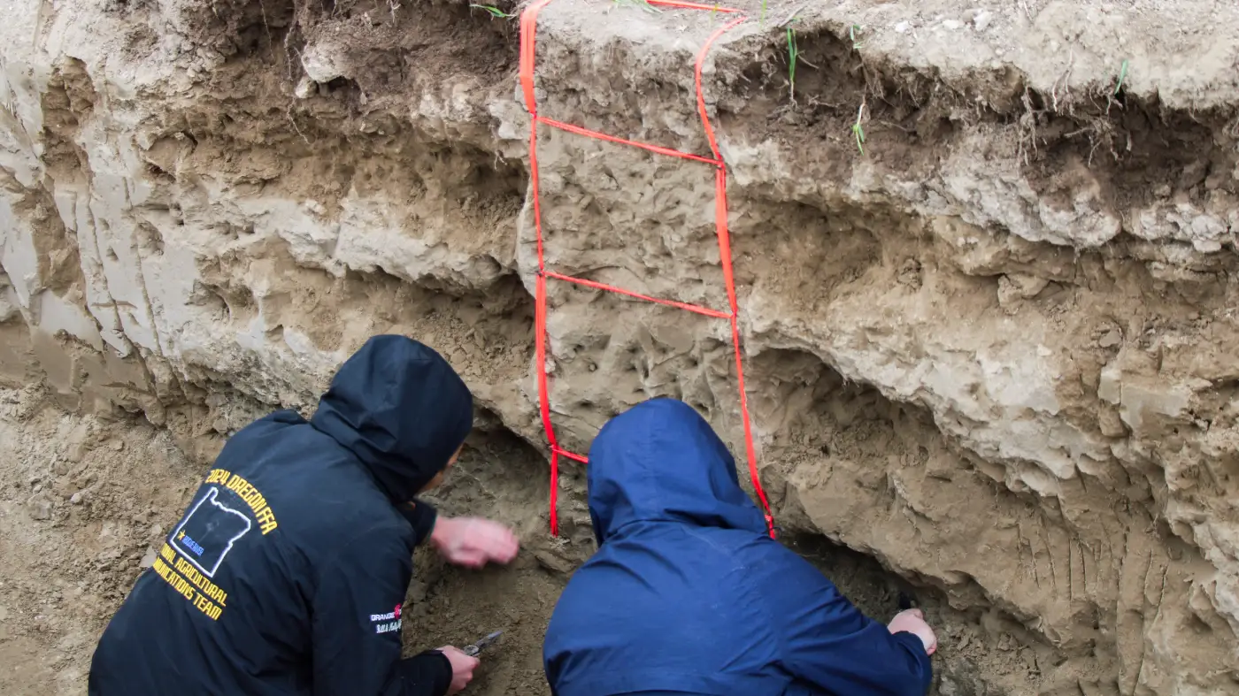 People examining exposed soil profile outdoors