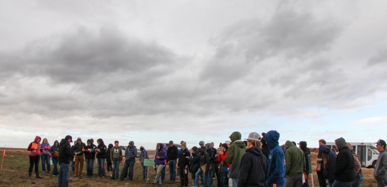 Crowd gathered outdoors under cloudy sky