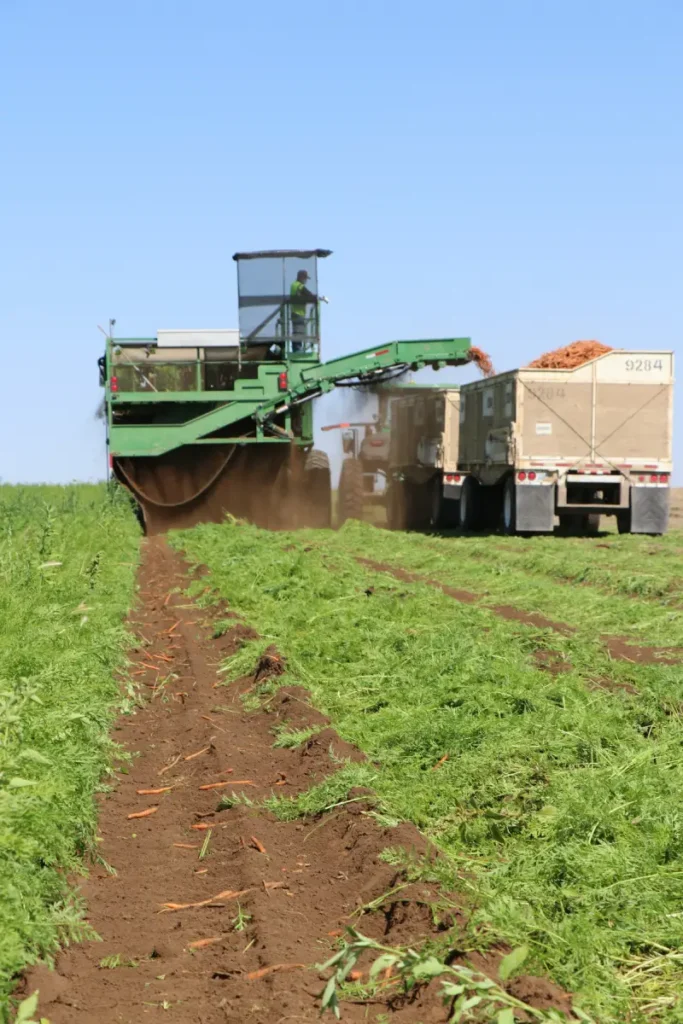 Agricultural harvester unloading crops into truck