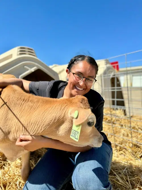 Intern Ariana with a young cow.