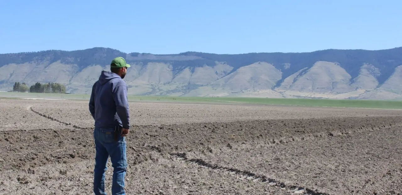 Person standing in dry agricultural landscape