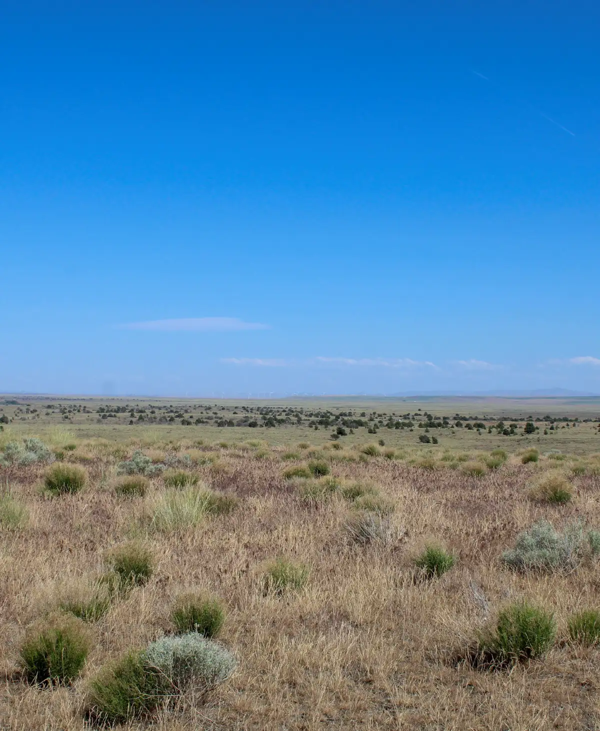 Open dry landscape under blue sky