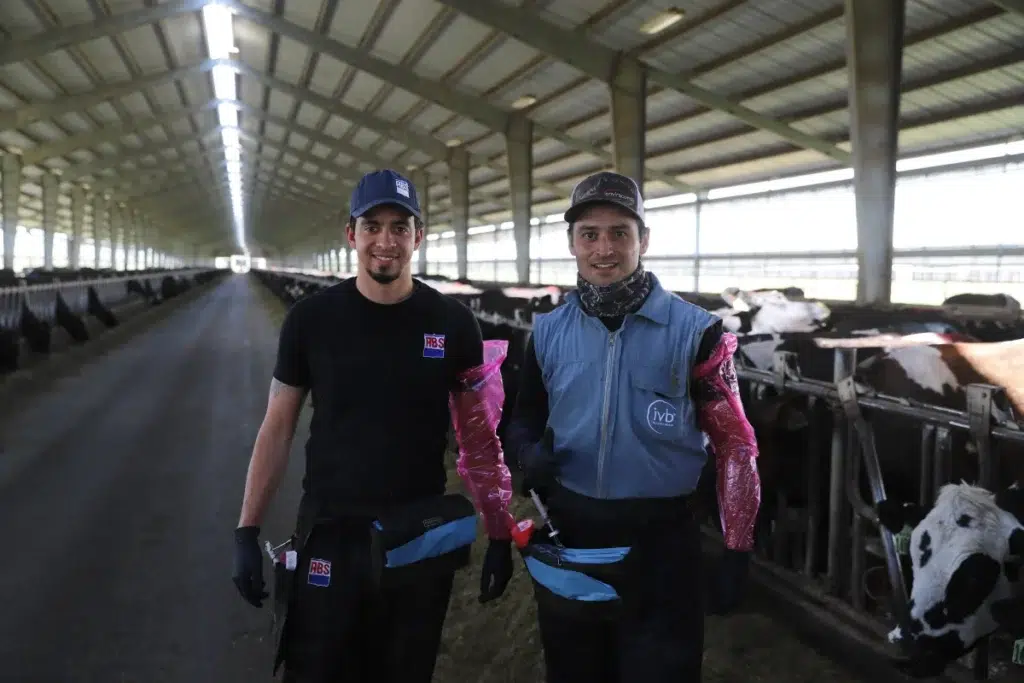 Two people standing inside livestock barn