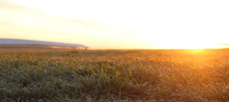 Sunset over open grassy landscape