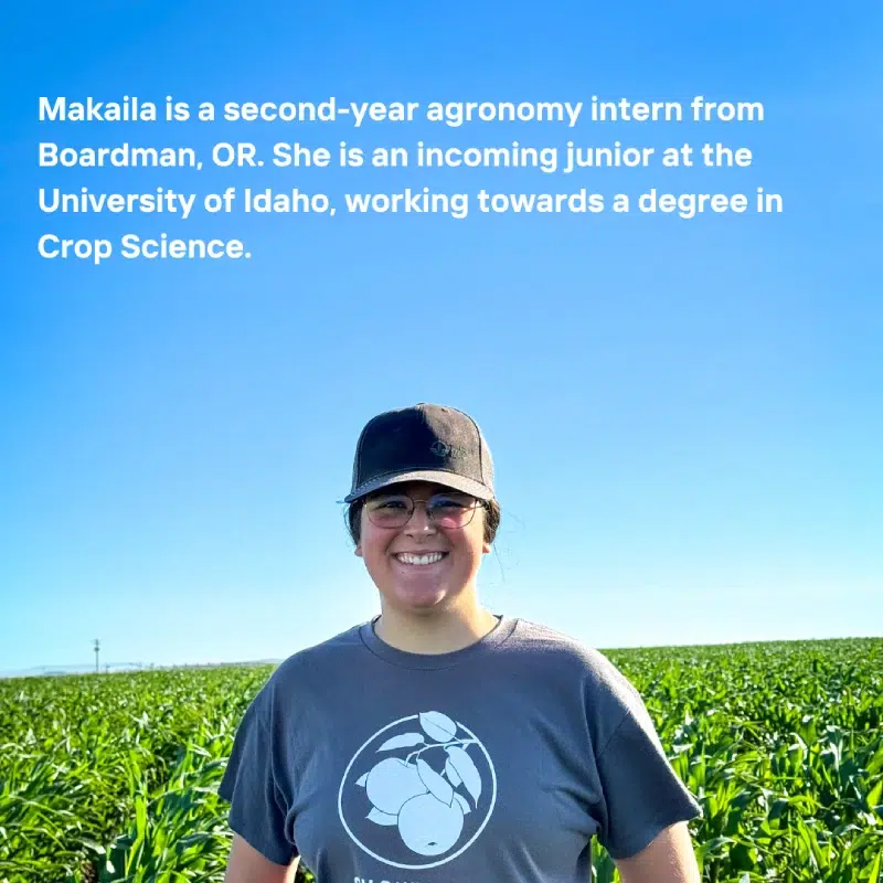 Makaila, smiling in a field, wearing a cap and a gray T-shirt with a logo featuring plants. Transcribed Text: Makaila is a second-year agronomy intern from Boardman, OR. She is an incoming junior at the University of Idaho, working towards a degree in Crop Science.