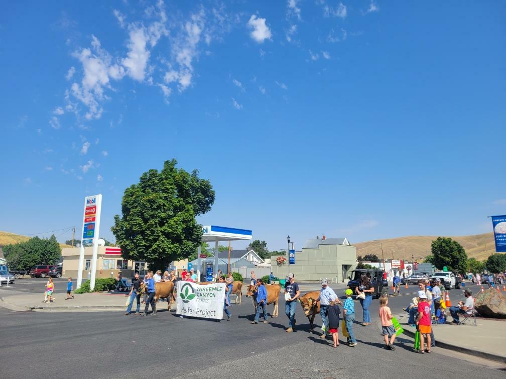 Community parade outdoors