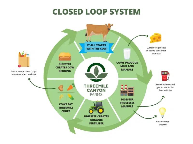 Infographic depicting a closed loop system at Threemile Canyon Farms involving cows, crops, digesters, and renewable energy.