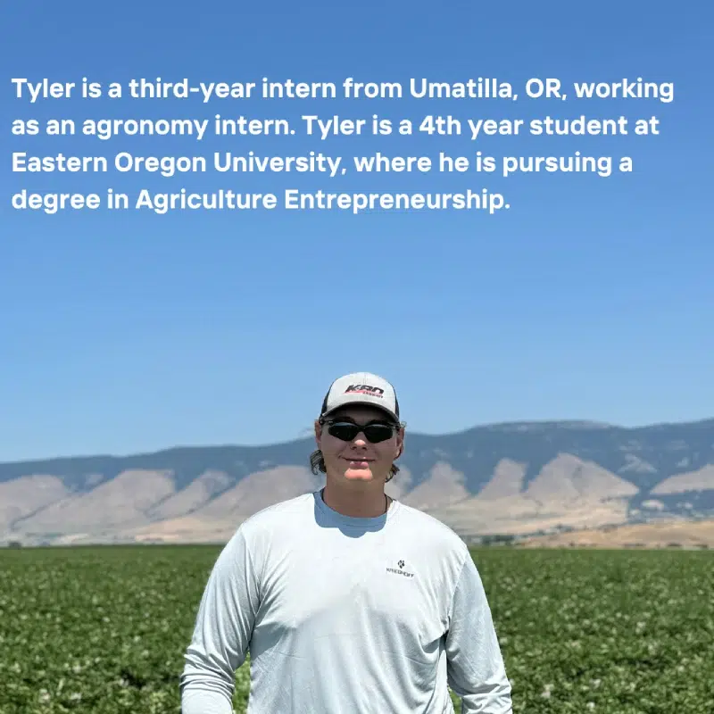 Tyler, wearing sunglasses and a white long-sleeve shirt, standing in a field with mountains in the background. Transcribed Text: Tyler is a third-year intern from Umatilla, OR, working as an agronomy intern. Tyler is a 4th year student at Eastern Oregon University, where he is pursuing a degree in Agriculture Entrepreneurship.
