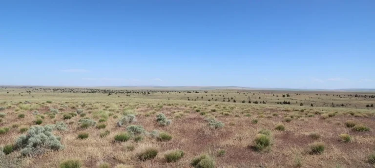 Dry open landscape under clear blue sky