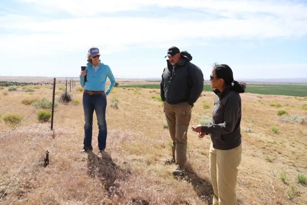 Group touring open field outdoors
