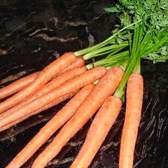 Closeup of carrots