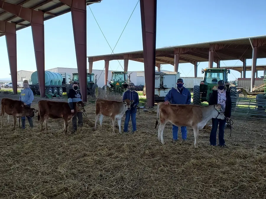 People gathered inside livestock barn