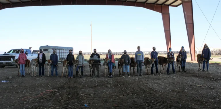 Group gathered under open-sided livestock structure