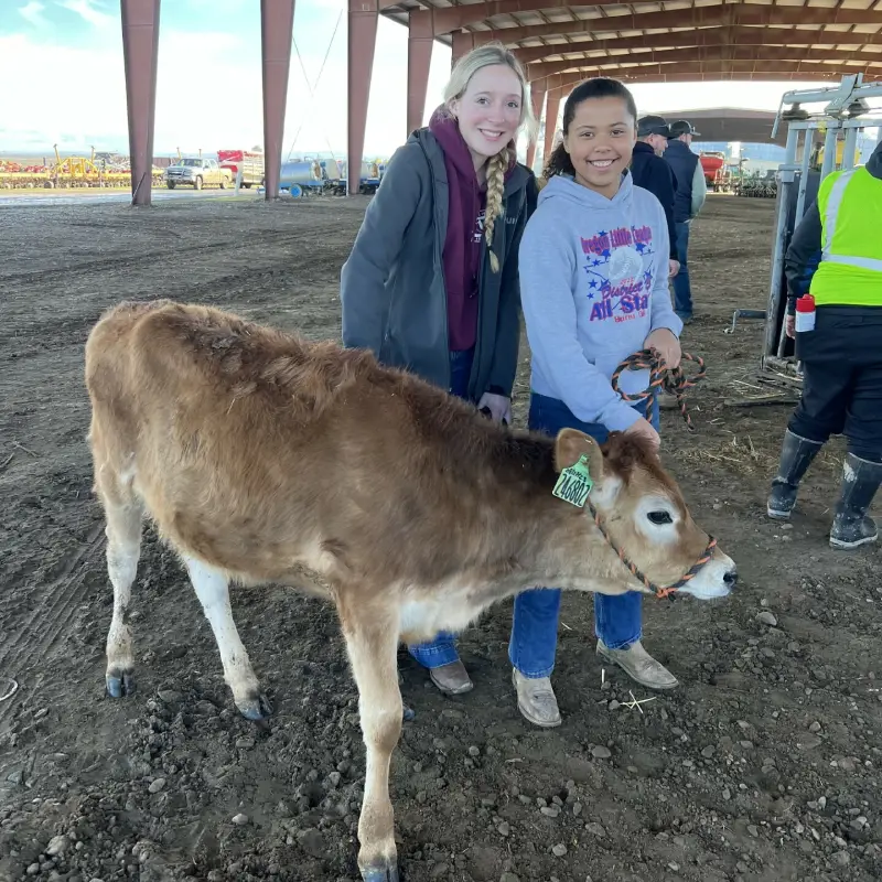 Child standing beside calf at agricultural event