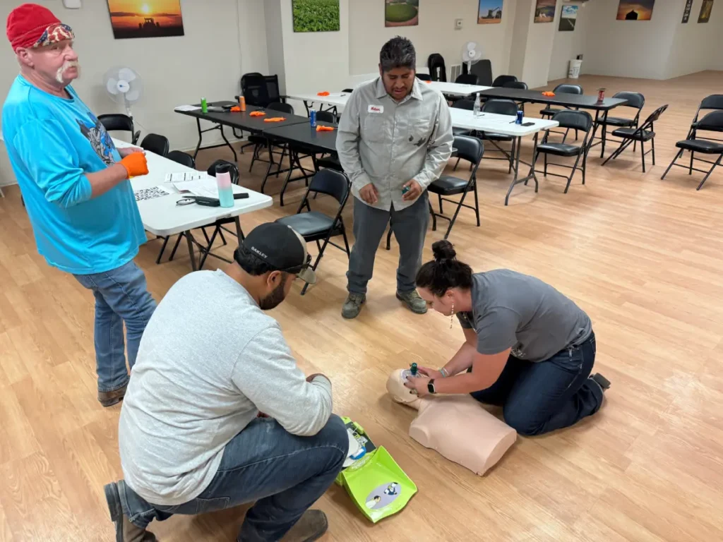 Students working together during classroom CPR activity