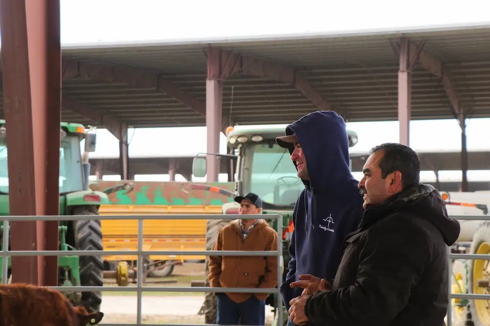 People talking inside livestock barn