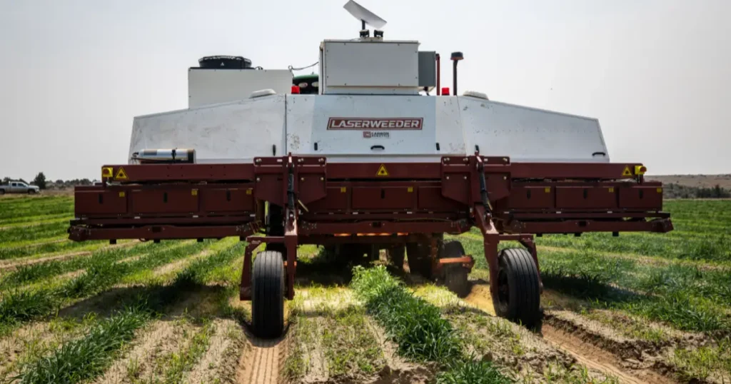 Farm machinery operating across crop rows