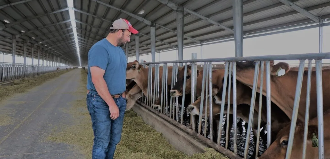 Threemile Canyon Farms’ Animal Welfare Advocate, viewing cows