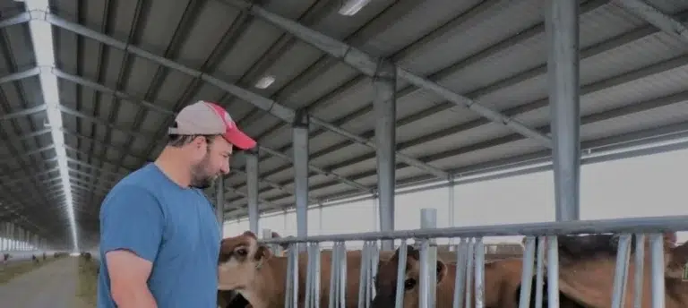 Dr. Mike Paros Threemile Canyon Farms’ Animal Welfare Advocate, viewing cows