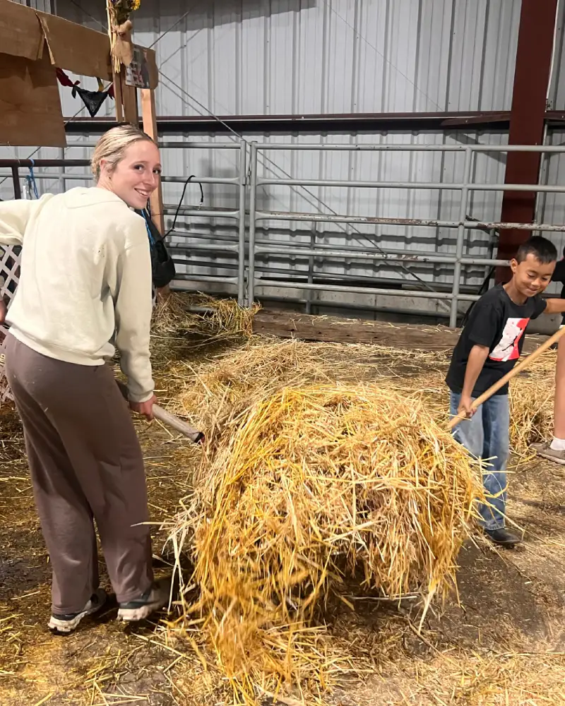 Person handling hay inside livestock barn