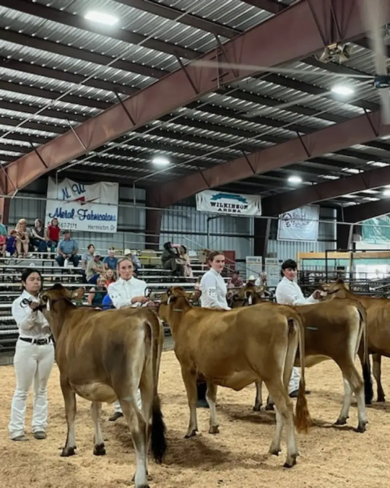 Children posing with cows inside livestock barn